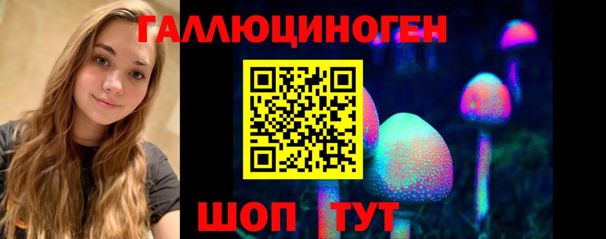 Псилоцибиновые грибы мицелий Иваново